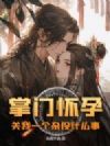 掌门怀孕,关我一个杂役什么事